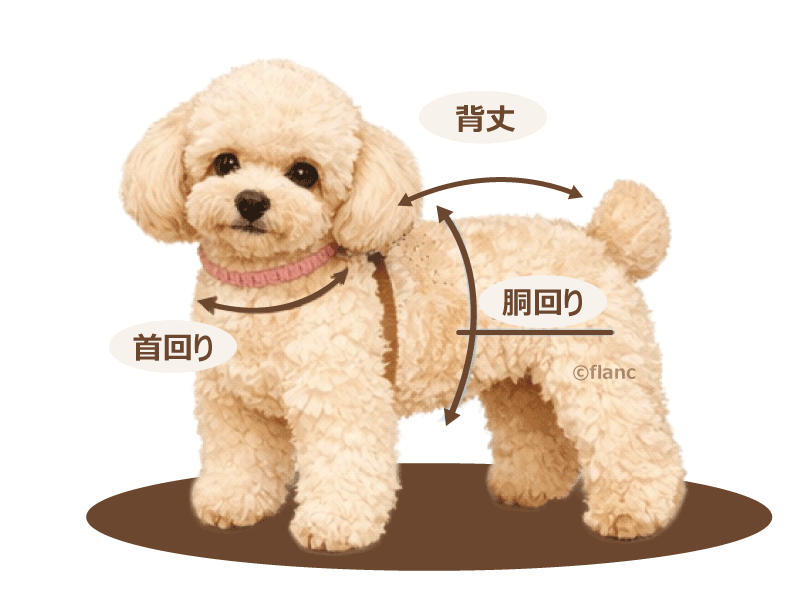 犬服サイズの測り方